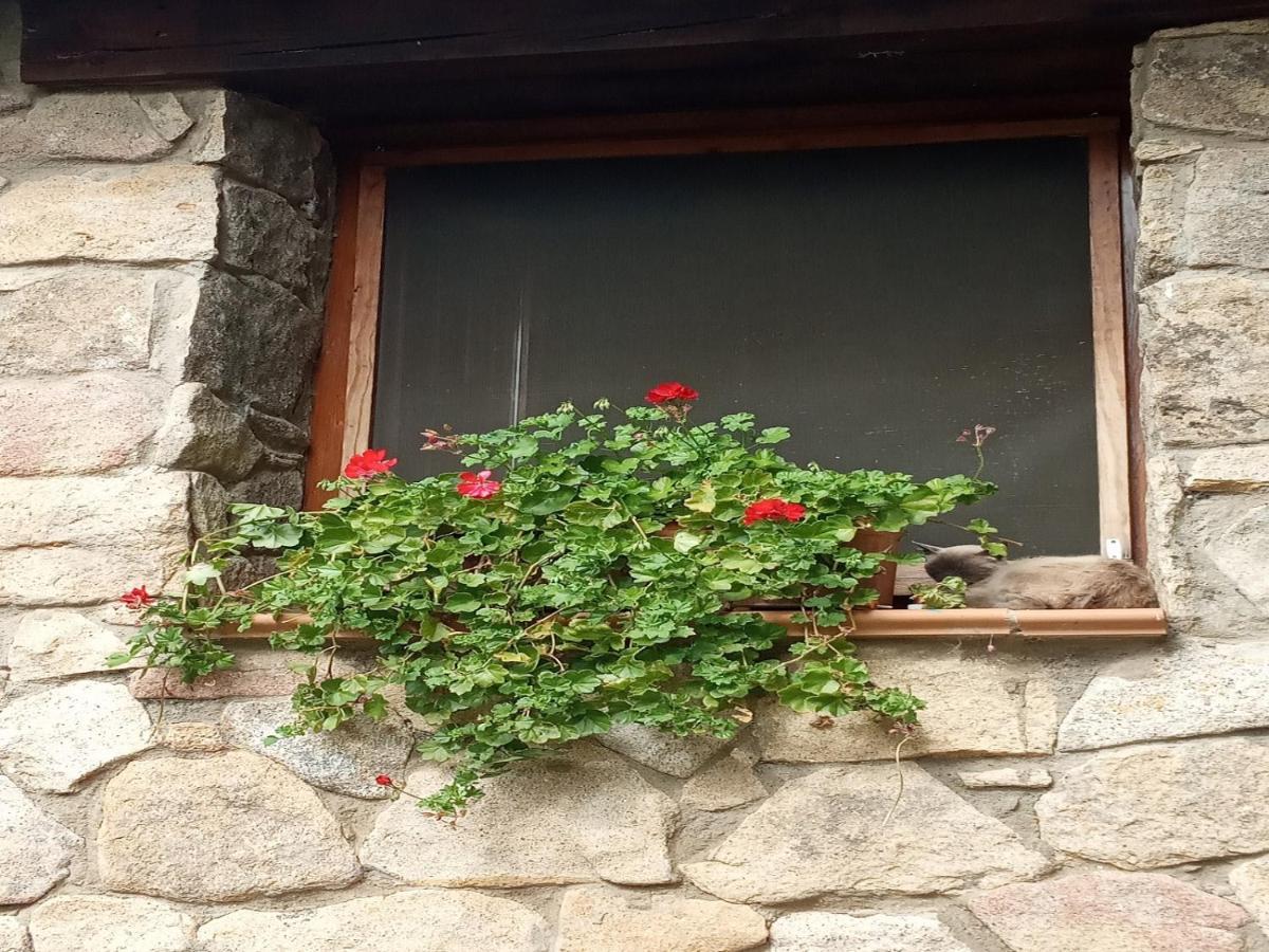 Naturaleza, Confort Y Vistas Inigualable En Casa Rural La Cumbre ガータ エクステリア 写真