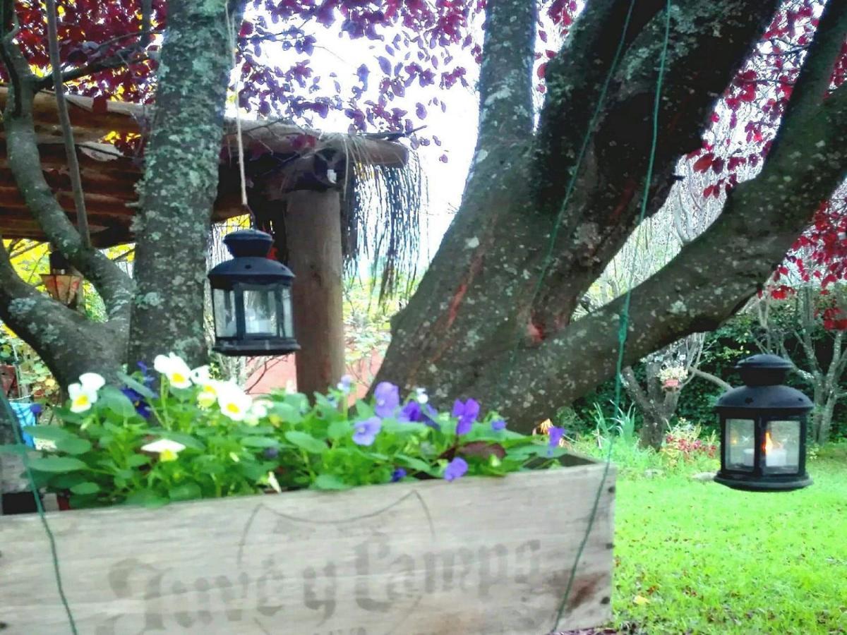 Naturaleza, Confort Y Vistas Inigualable En Casa Rural La Cumbre ガータ エクステリア 写真