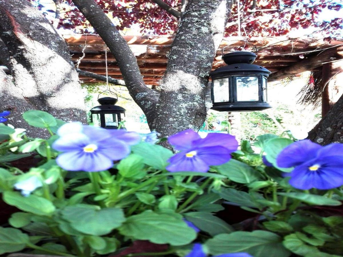 Naturaleza, Confort Y Vistas Inigualable En Casa Rural La Cumbre ガータ エクステリア 写真