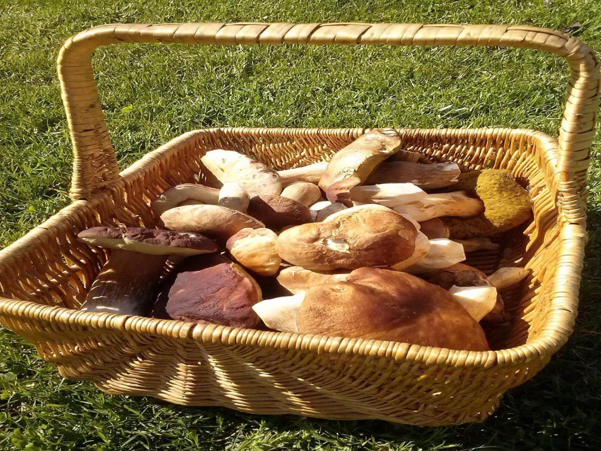 Naturaleza, Confort Y Vistas Inigualable En Casa Rural La Cumbre ガータ エクステリア 写真