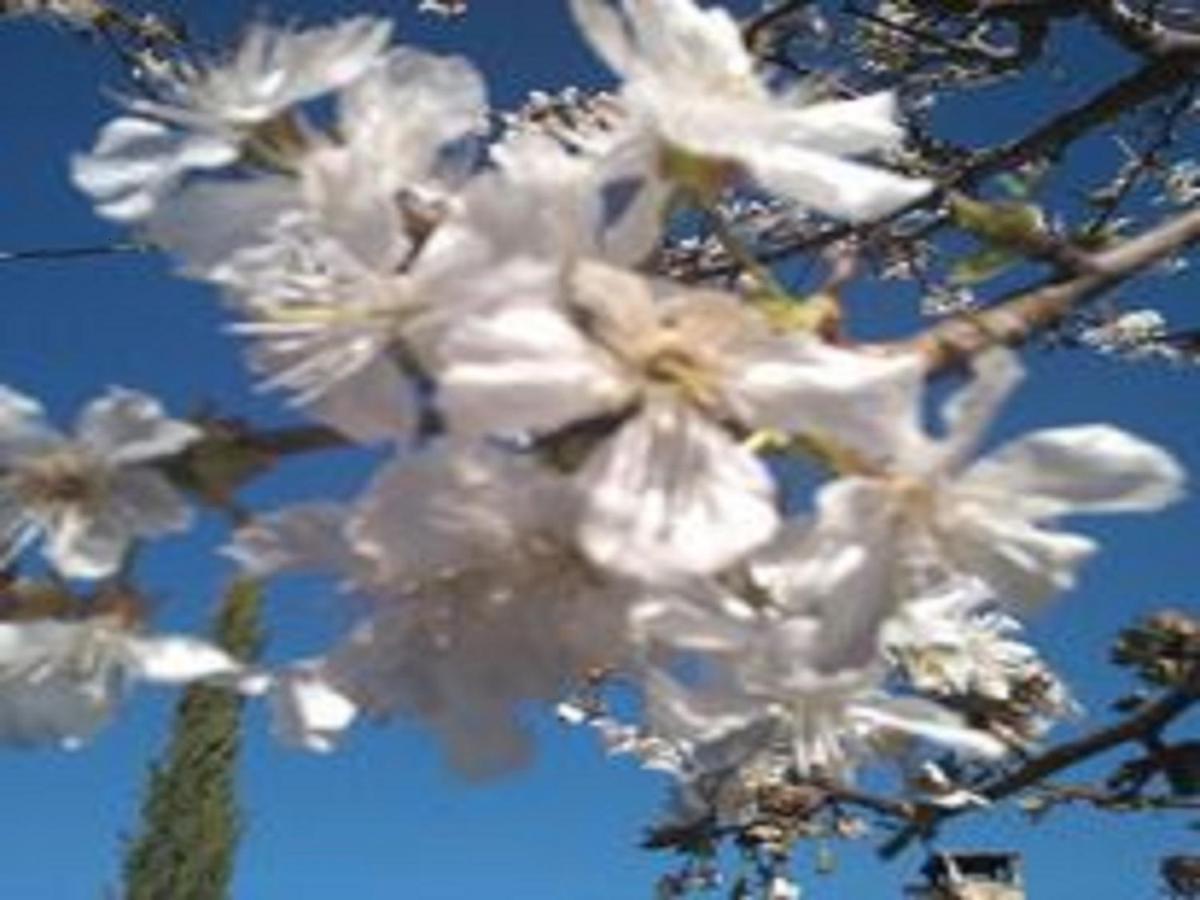 Naturaleza, Confort Y Vistas Inigualable En Casa Rural La Cumbre ガータ エクステリア 写真