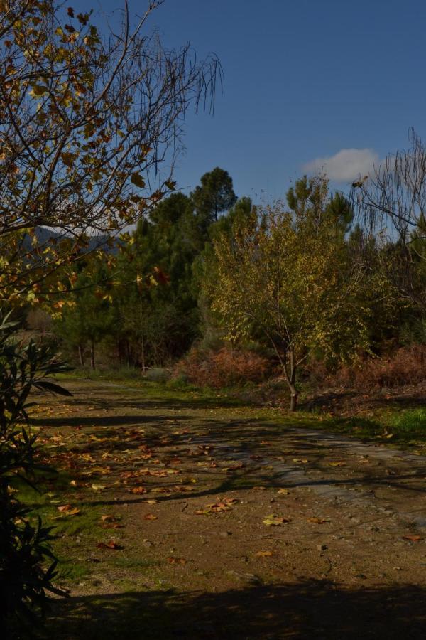 Naturaleza, Confort Y Vistas Inigualable En Casa Rural La Cumbre ガータ エクステリア 写真