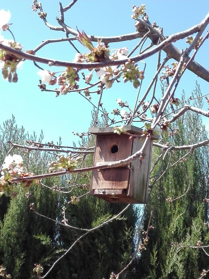 Naturaleza, Confort Y Vistas Inigualable En Casa Rural La Cumbre ガータ エクステリア 写真